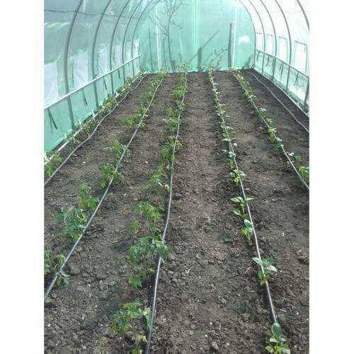 Sera gradina 6x3x2m 2