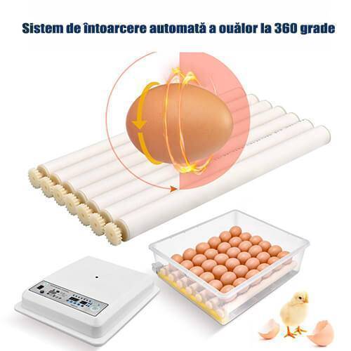 Incubatoare automate pentru 36 oua