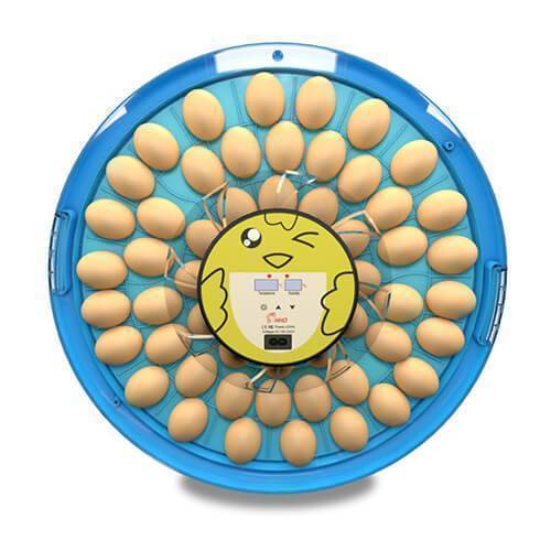 Incubator oua ms 52