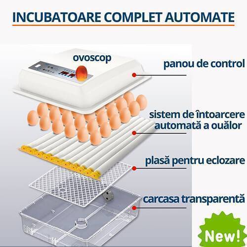 Incubatoare automate ms 36 ms 64