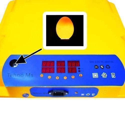 Incubator oua MS 56 1