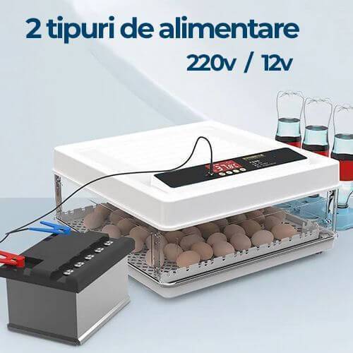 Incubatoare automate