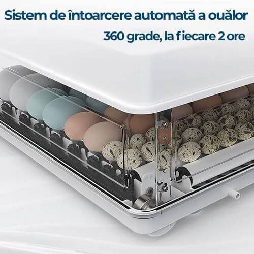 Incubatoare complet automate
