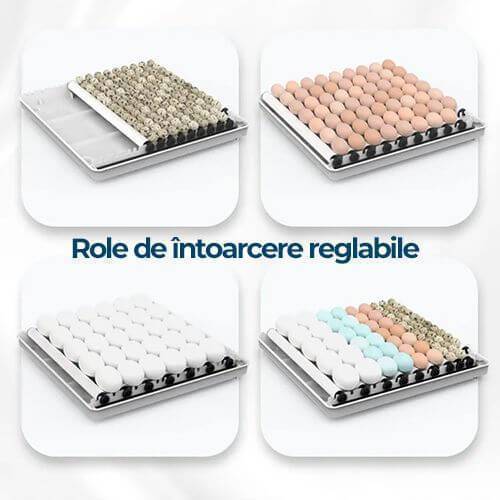 Incubator toate tipurile de oua