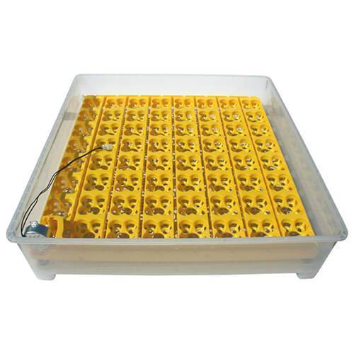 Incubator automat ms 252 oua prepelita