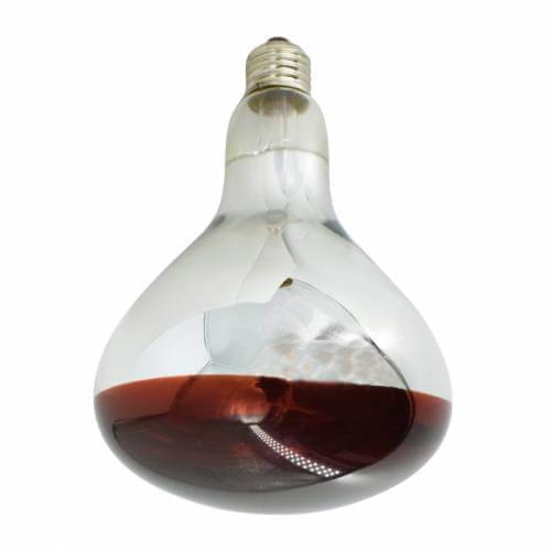 Bec Infrarosu 150W R125 Infrared Bulb