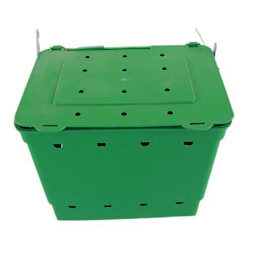 Cuib pentru fatare verde 3