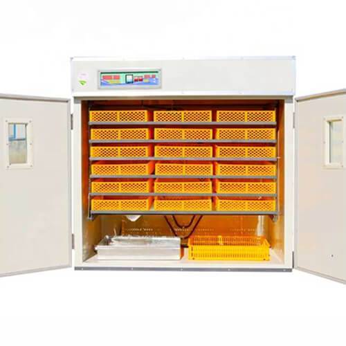 Incubator automat pentu 1584 oua