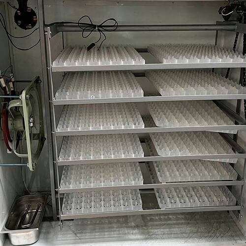 Incubator complet automat 1000 oua