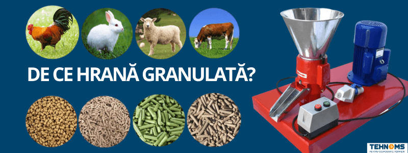 De ce să ne hrănim animalele cu hrană granulată?