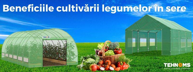 Beneficiile cultivării legumelor în sere