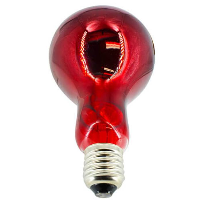 Bec infrarosu complet rosu 300w 700 700