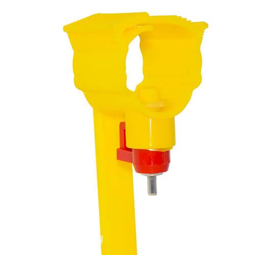 Adapatoare pasari a3 1