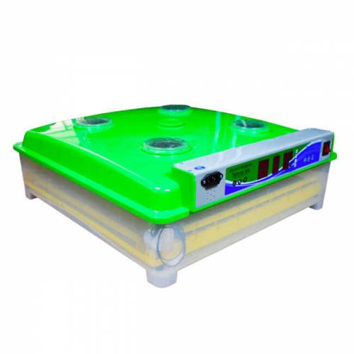 Incubator ms 98 1