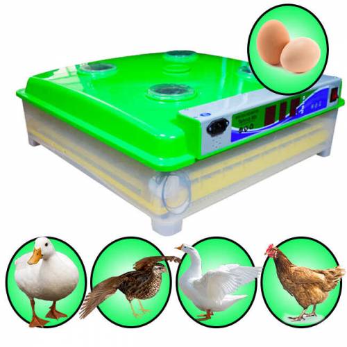 Incubator ms 98 5