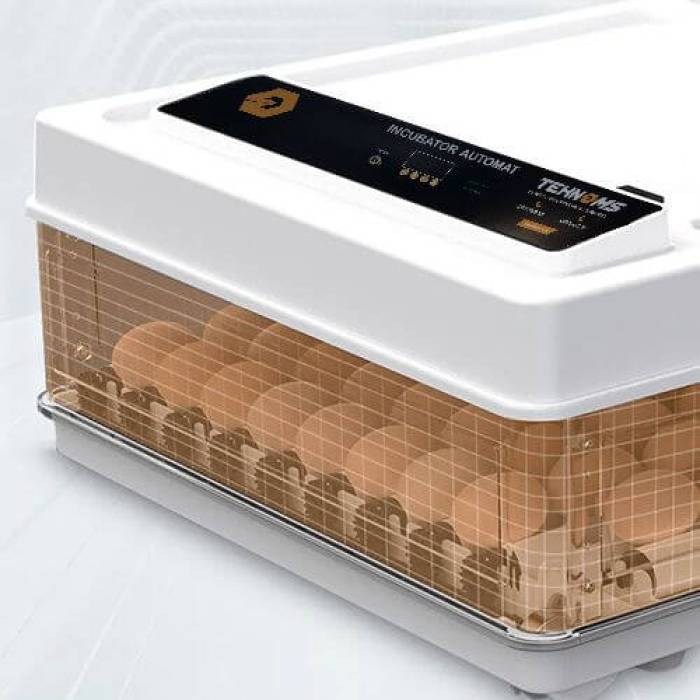 Incubator automat de oua 700 700