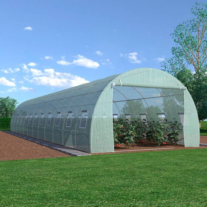 Sera pentru legume 12 3 2m 700 700