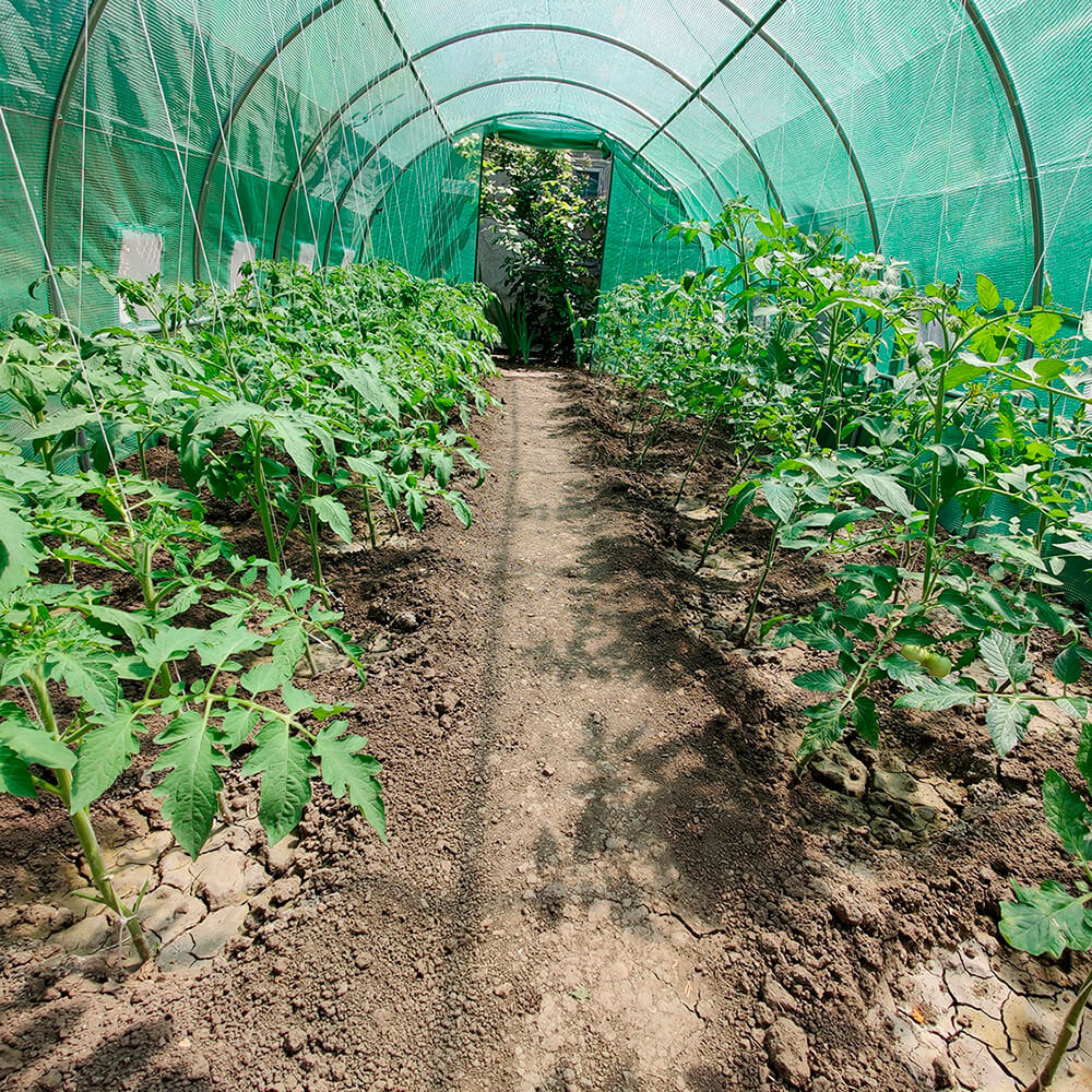 Sere petru legume 4x2.5x2m